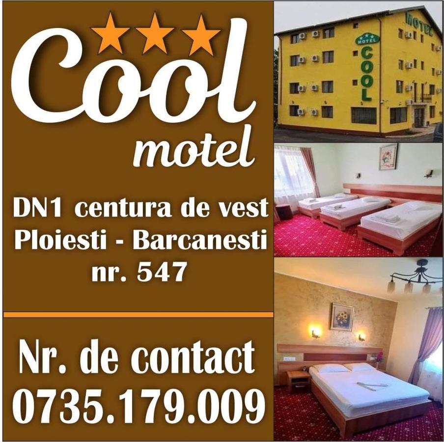 Motel Cool Bărcăneşti Exterior foto